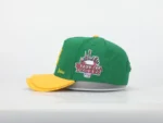 BOTTEGA DESIRES DOUBLE BRIM HAT (DUCKS) - Image 4